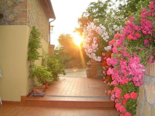 Agriturismo Il Colombaiolo Villa Pienza Esterno foto