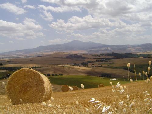 Agriturismo Il Colombaiolo Villa Pienza Esterno foto