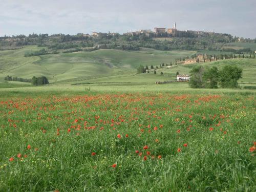 Agriturismo Il Colombaiolo Villa Pienza Esterno foto