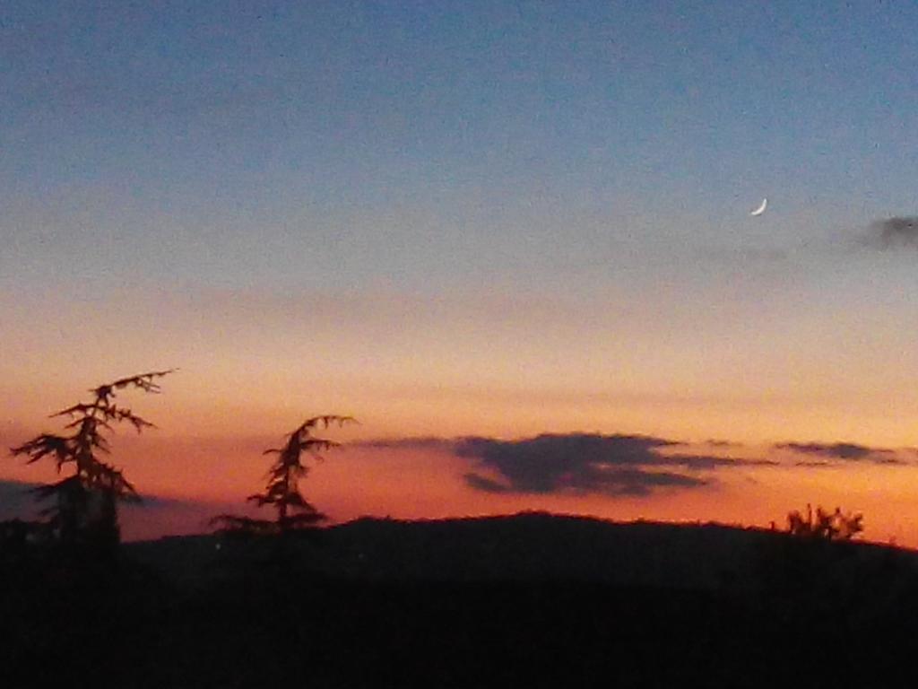 Agriturismo Il Colombaiolo Villa Pienza Esterno foto