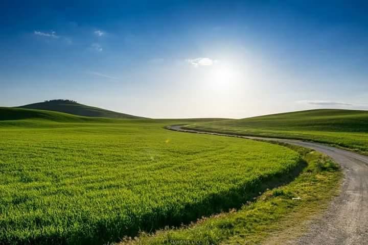 Agriturismo Il Colombaiolo Villa Pienza Esterno foto